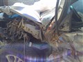 Subaru Forester универсал 2006 г.
